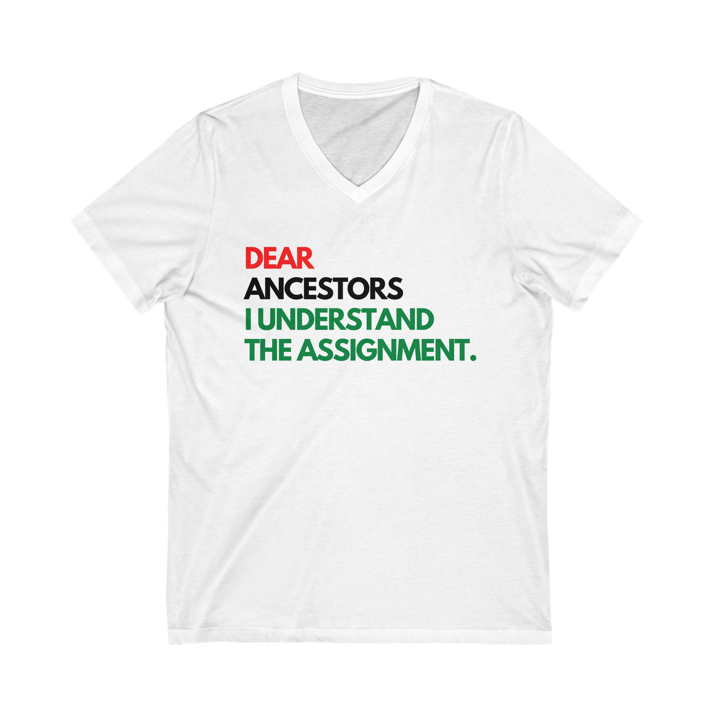 Dear Ancestors Unisex V-Neck Tee