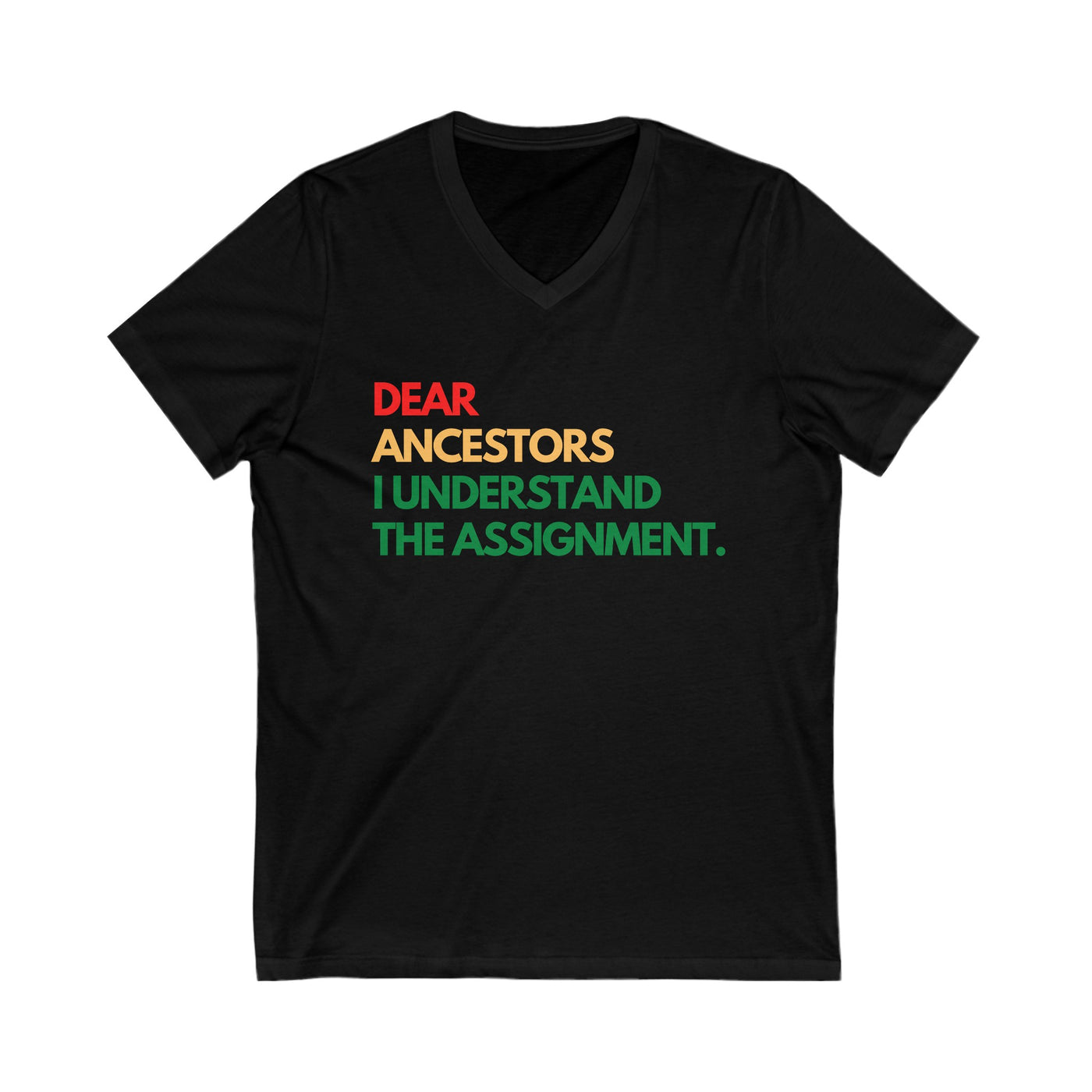 Dear Ancestors Unisex V-Neck Tee